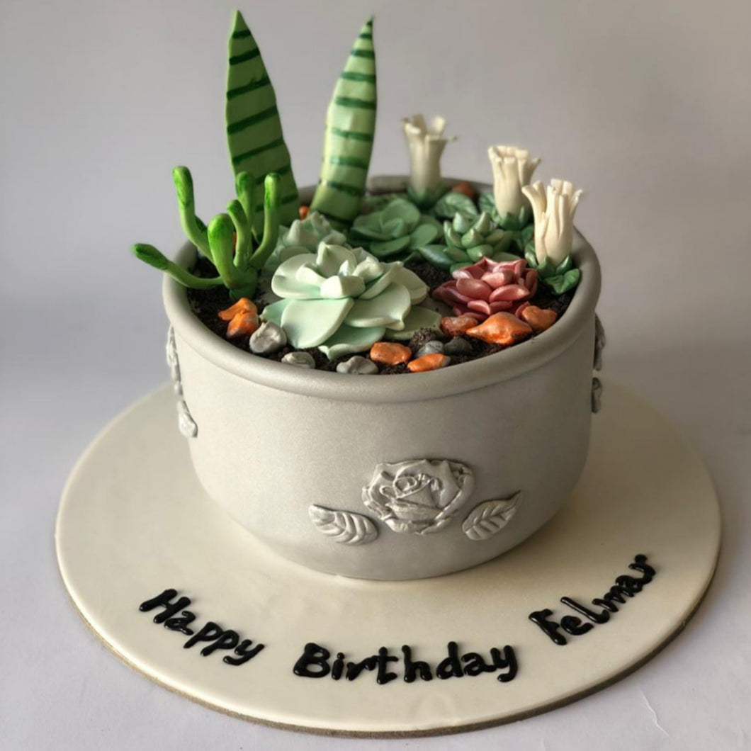 Cakes Plants in a Pot - Themed Cake - mabrook.me