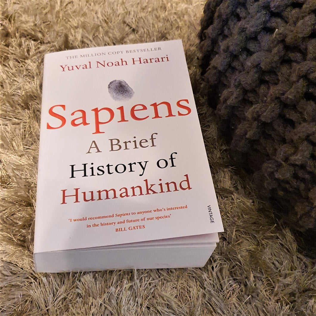 Book Sapiens - A Brief History of Humankind by Yuval Noah Harari - mabrook.me