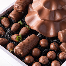Load image into Gallery viewer, Candied &amp; Chocolate Covered Fruit Christmas Assortment - mabrook.me
