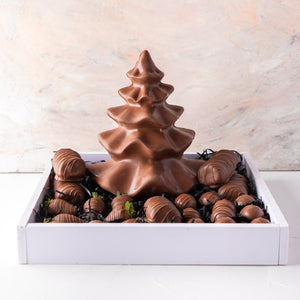 Candied & Chocolate Covered Fruit Christmas Assortment - mabrook.me
